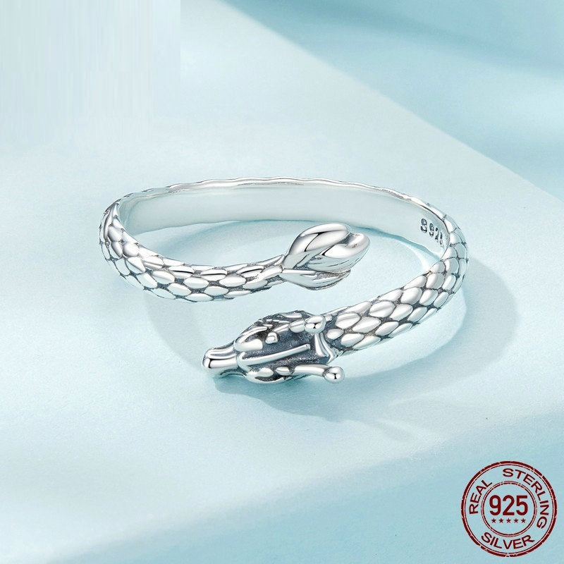 Jorm’s Memory – S925 Sterling Silver Adjustable Ring